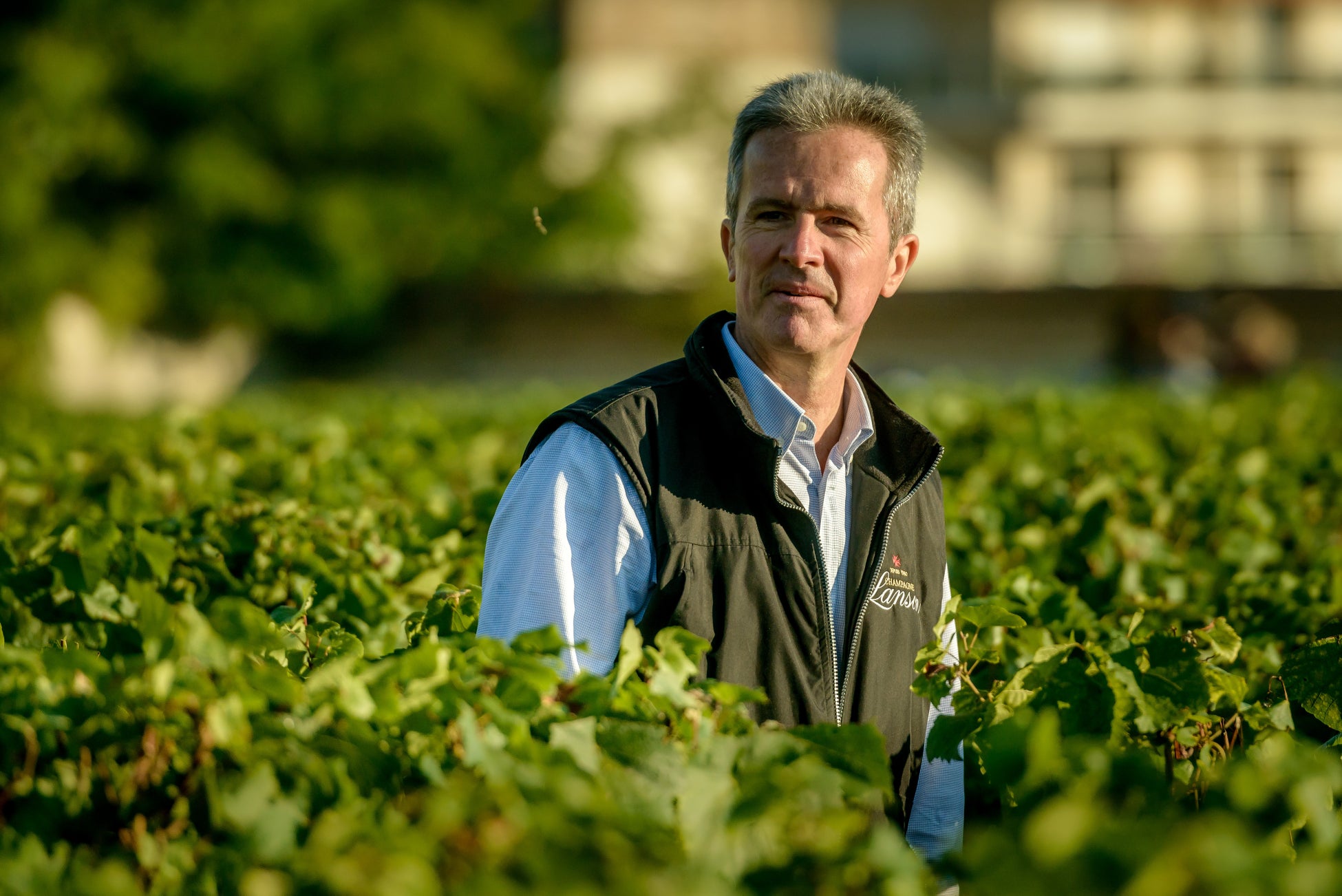 シャンパーニュ・ランソン「ブラック	クリエイション」、「ロゼ クリエイション」ウィンブルドン特別仕様オリジナルギフトボックス入を5月初旬に数量限定で新発売