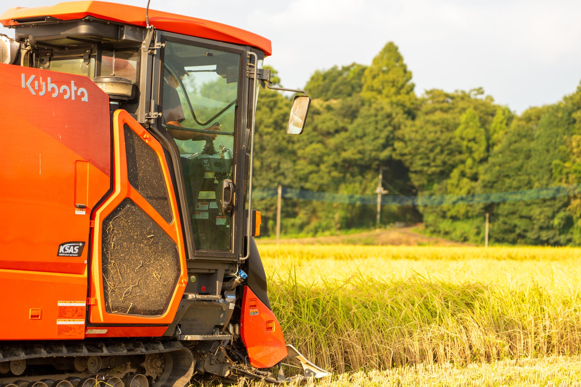 フルッタフルッタのアサイー使用のアサイー専門カフェ登場!『SUGARY』(シュガリー)恵比寿店オープン!