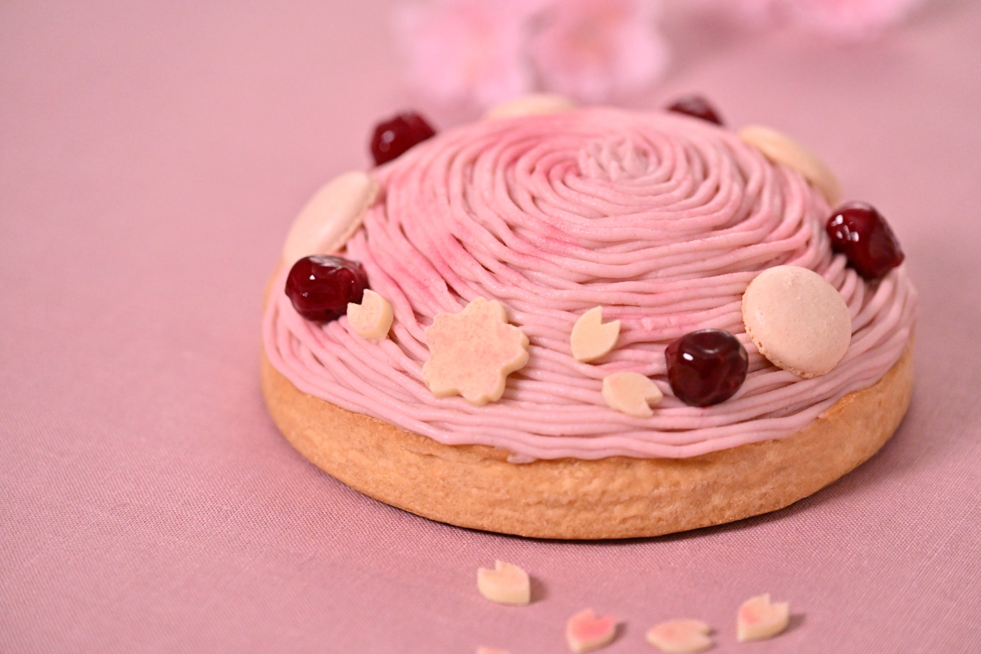 【銀座ル・ブラン】銀座老舗の人気No.1モンブランが桜と抹茶で春限定仕様に