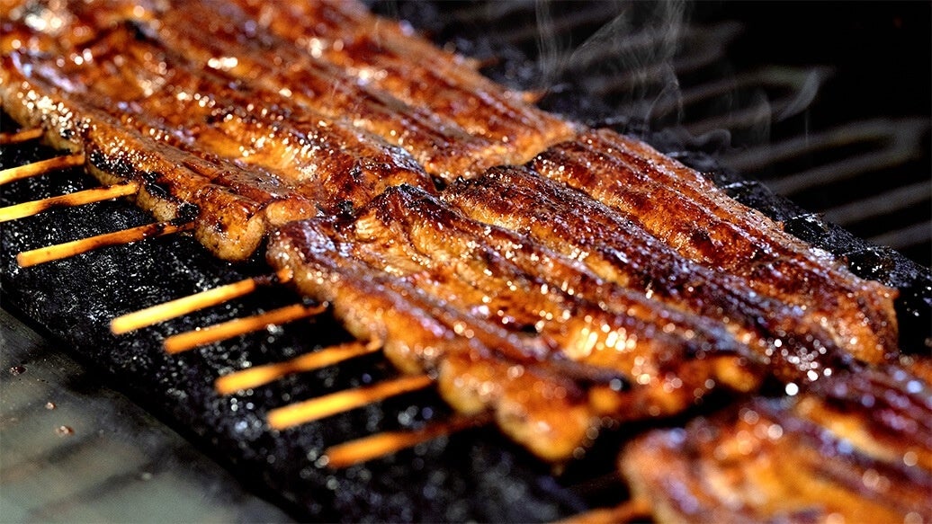 【JAF埼玉】「JAFデーinうらわのうなぎ萬店 うなぎ職人直伝！ 掴み取りから焼き上げ体験会」を開催します！