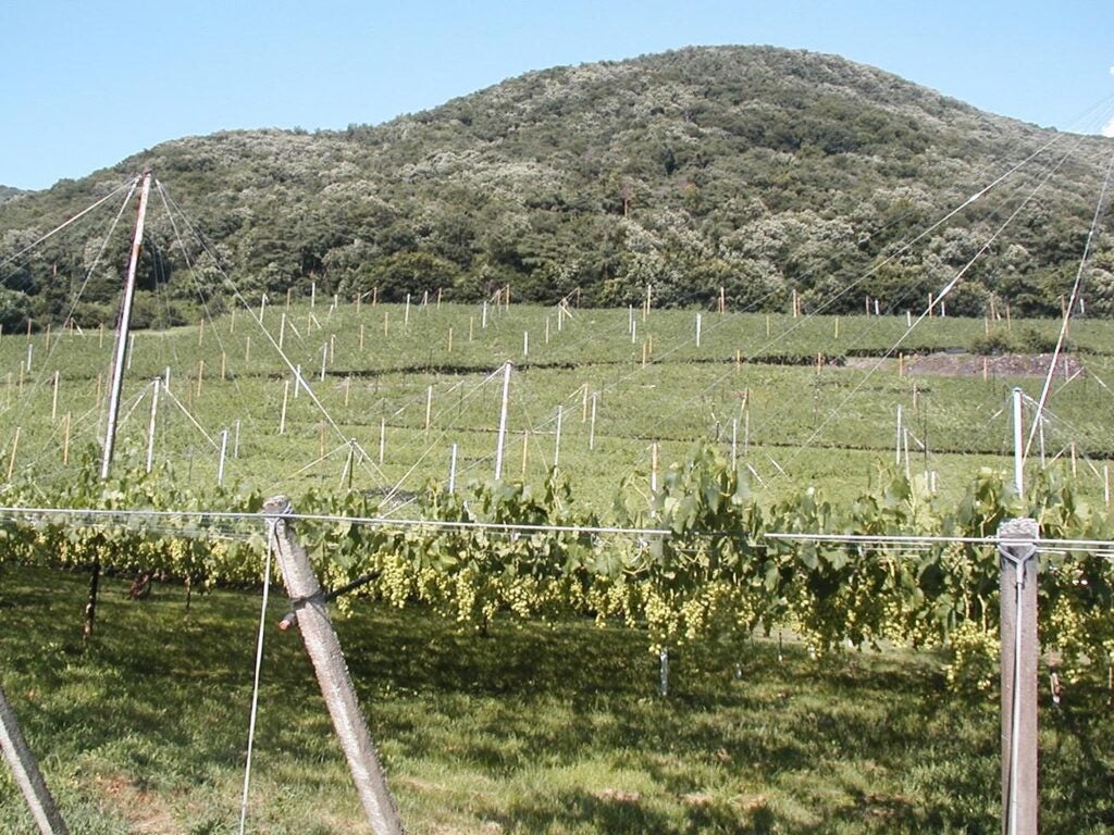 Osaka Metro なんば駅を”巨大な焼肉”がジャック「焼肉きんぐ namBaHIPS店」オープン記念、約3,300枚の肉クーポンを配布する体験型広告を掲出