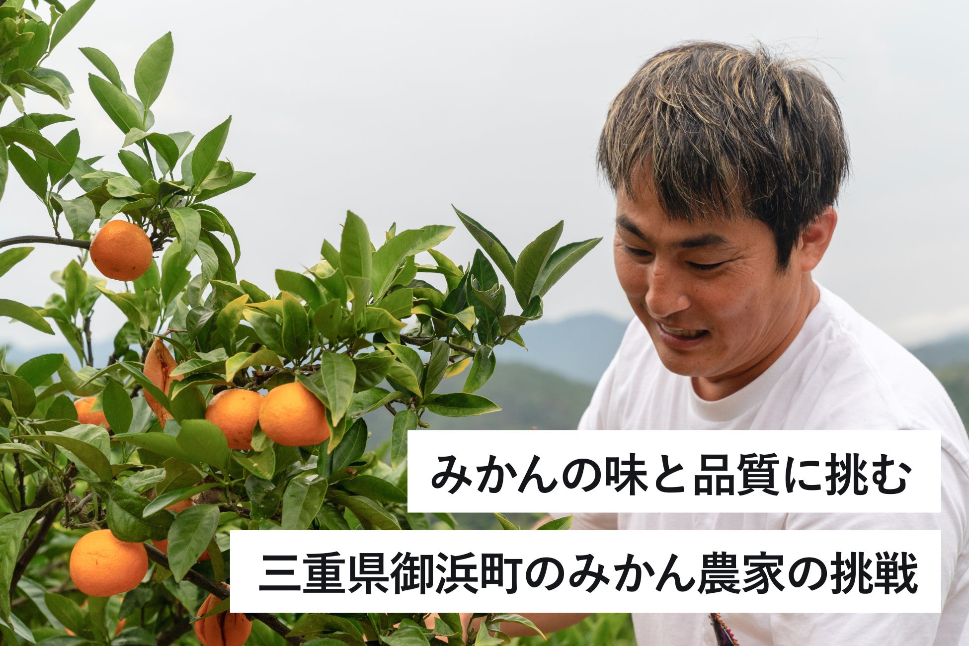 みかんの味と品質に挑む！三重県御浜町「ゼロイチふぁ〜む」みかんの木のオーナー制度の支援プロジェクトをCAMPFIREでスタート