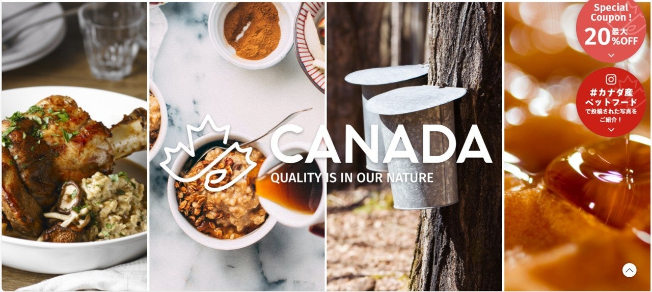 【最大20％クーポン配布中】カナダの美味しい「春」を食べよう！春のカナダフェア開催！