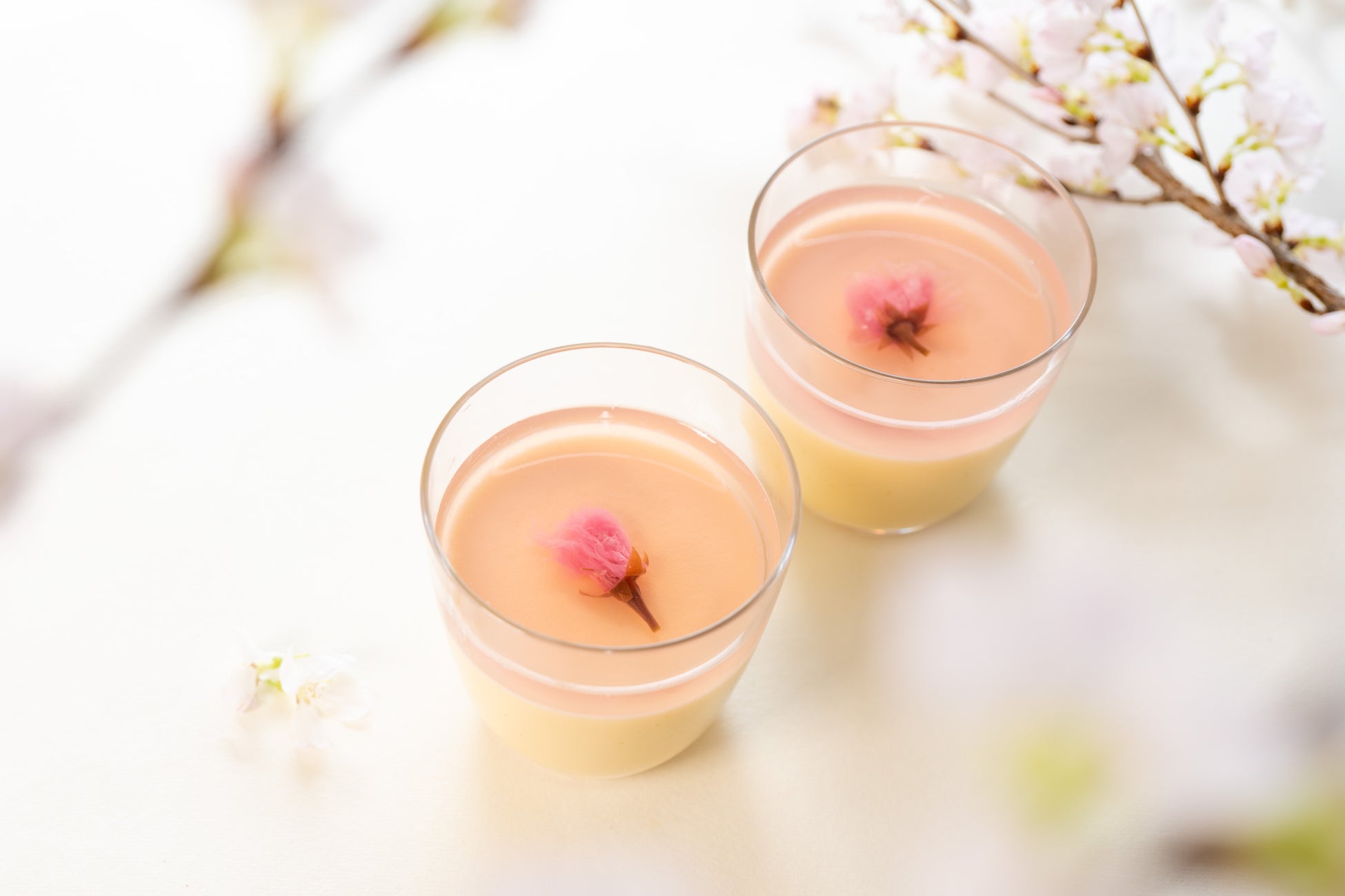 【船橋屋こよみ】春の風物詩・桜をテーマにした和洋スイーツ3種を期間限定で販売