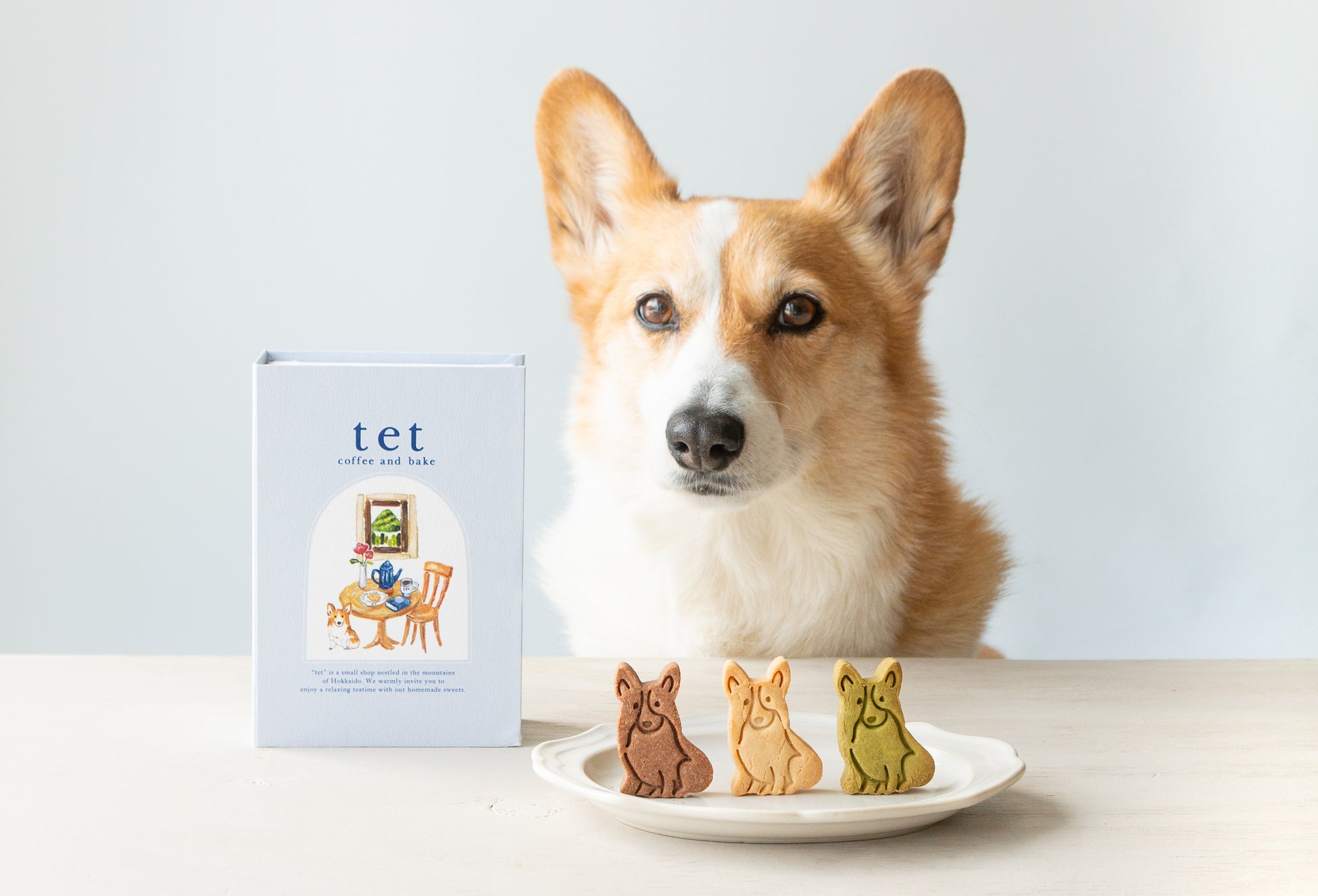 物語をめくるように楽しむ、コーギー型のグルテンフリークッキー。テッテコーヒーアンドベイクより「 tet book 」を3月1日発売