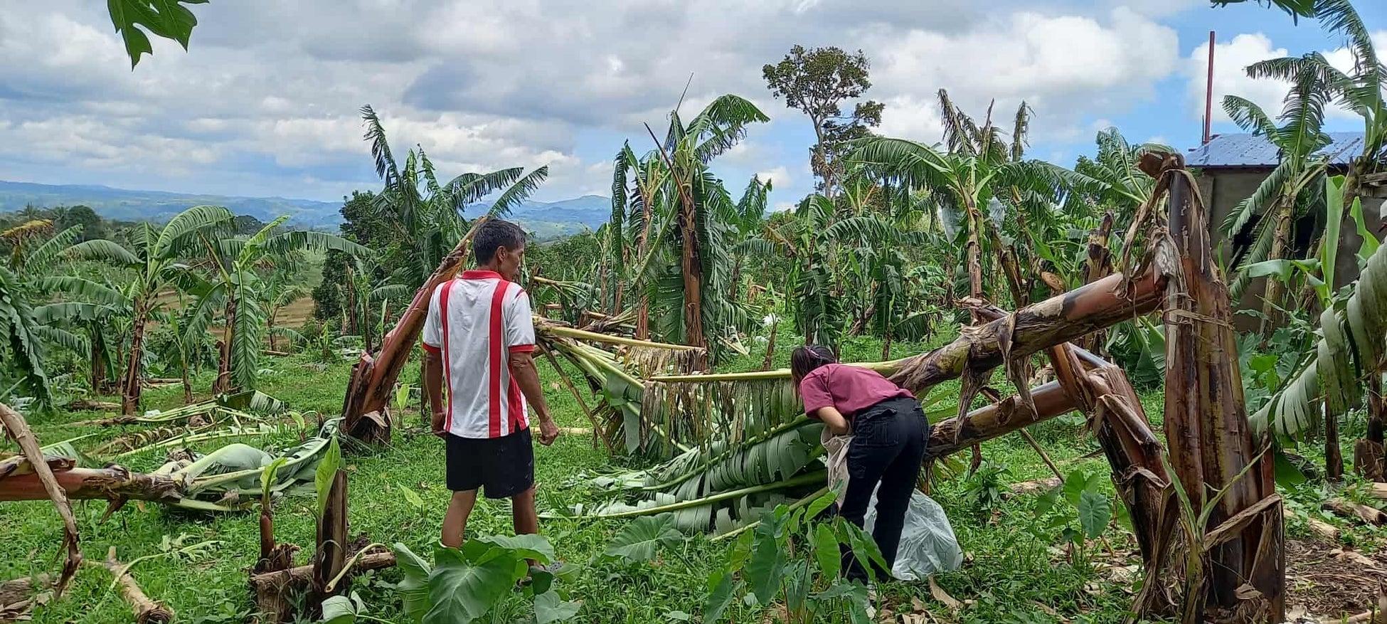 初の“信州弁・東北弁「可愛い嘘のカワウソ」ご当地限定シリーズ誕生！方言入りプリントクッキー＆サンドクッキー長野・東北で2026年3月2日（月）より発売長野・東北限定発売