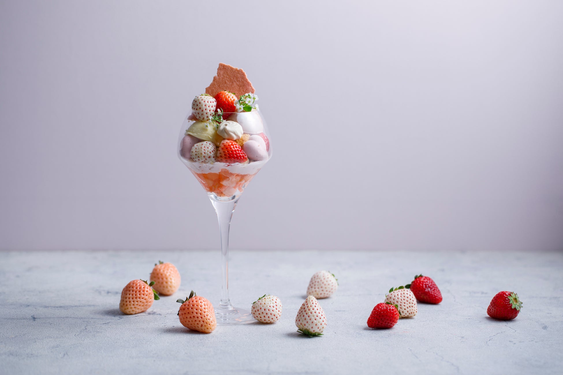 春の金沢に、甘く華やぐ季節が到来。Puniniから「3種のいちごパフェ」と「ココプニーニ スプリングコレクション」が登場