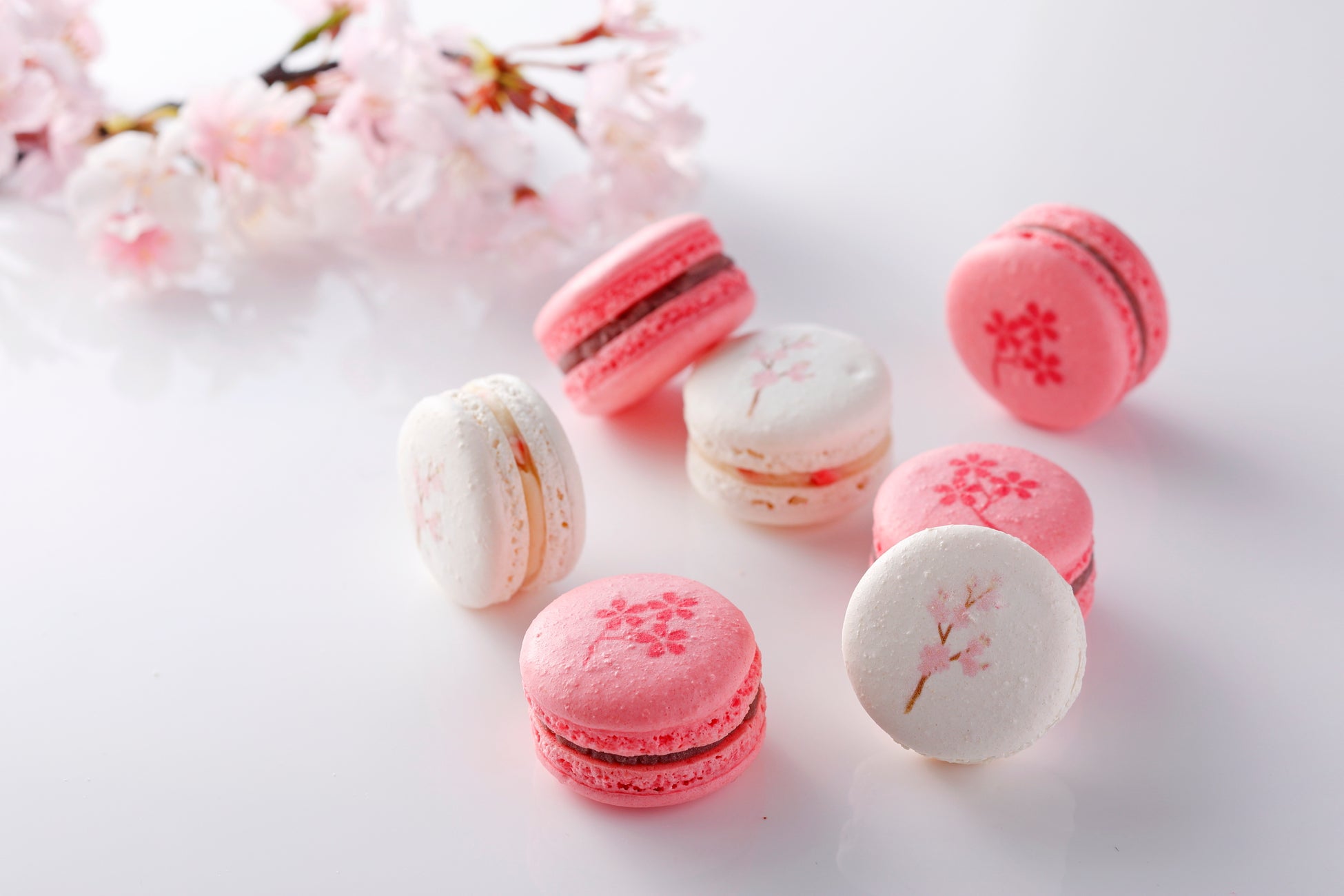 3000本の桜が舞う、大阪城公園を“お庭”に春を味わう『桜スイーツ』