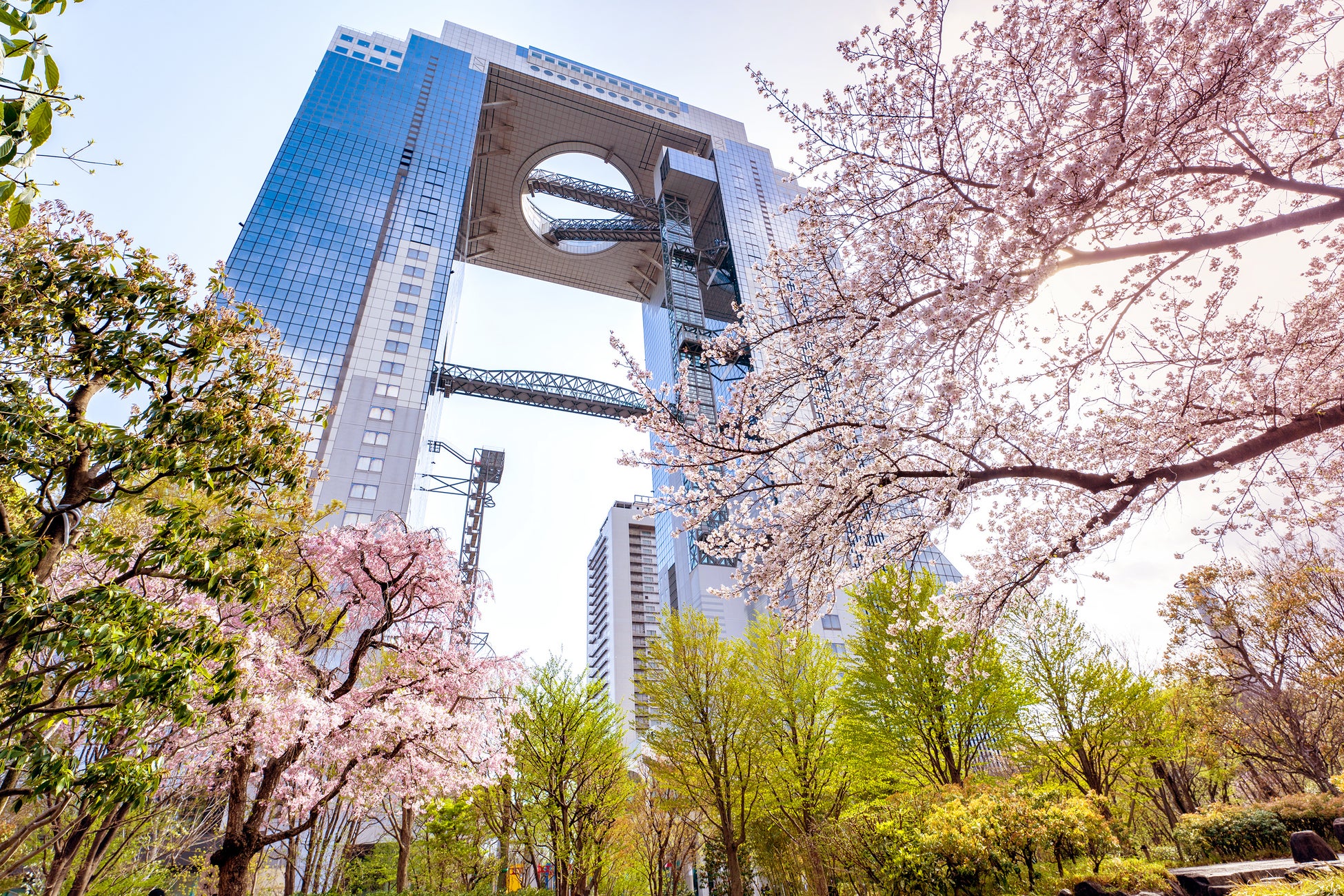 【 春季限定 】中国料理 燦宮が贈る春の彩りカクテル。「爽やか×華やか×可憐」な3種が期間限定で登場！