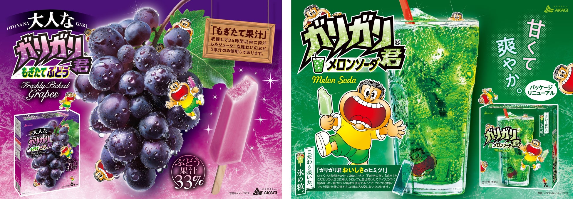 春のはじまりにぴったりの味わい！2品同時発売！ 「大人なガリガリ君もぎたてぶどう（6本入り）」 「ガリガリ君メロンソーダ（7本入り）」 2026年3月より順次発売中