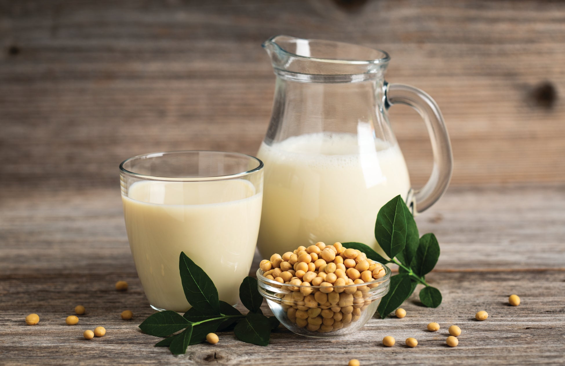 スプリングバレーブルワリー“Enjoy Craft! 2026”『恵みJAPANフェア ～春～』を3月16日（月）より順次開催