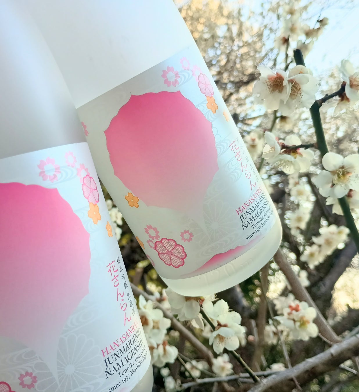 【世界酒蔵ランキング５位】【栃木県益子町 (株)外池酒造店】春を告げるしぼりたて季節限定酒『燦爛 純米吟醸生原酒 花さんらん』をを3月2日より発売開始！