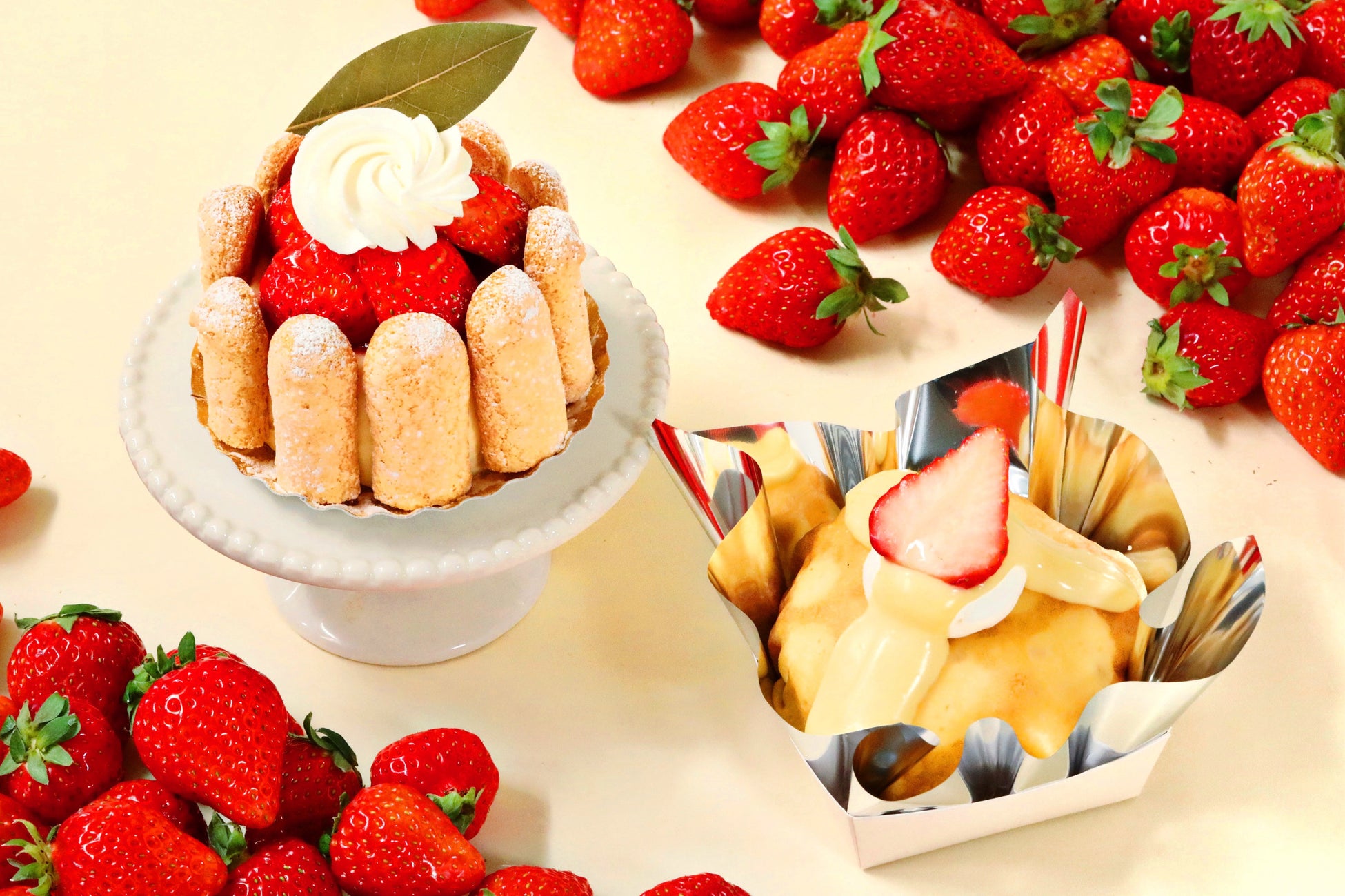 【苺が主役のご褒美シャルロット】「パティスリーピネード」よりフレッシュな国産苺＆まろやかなバニラムースで仕上げた『苺のシャルロット』が新登場！“サクッ＆ふんわり”食感を楽しめる春の新作スイーツ！