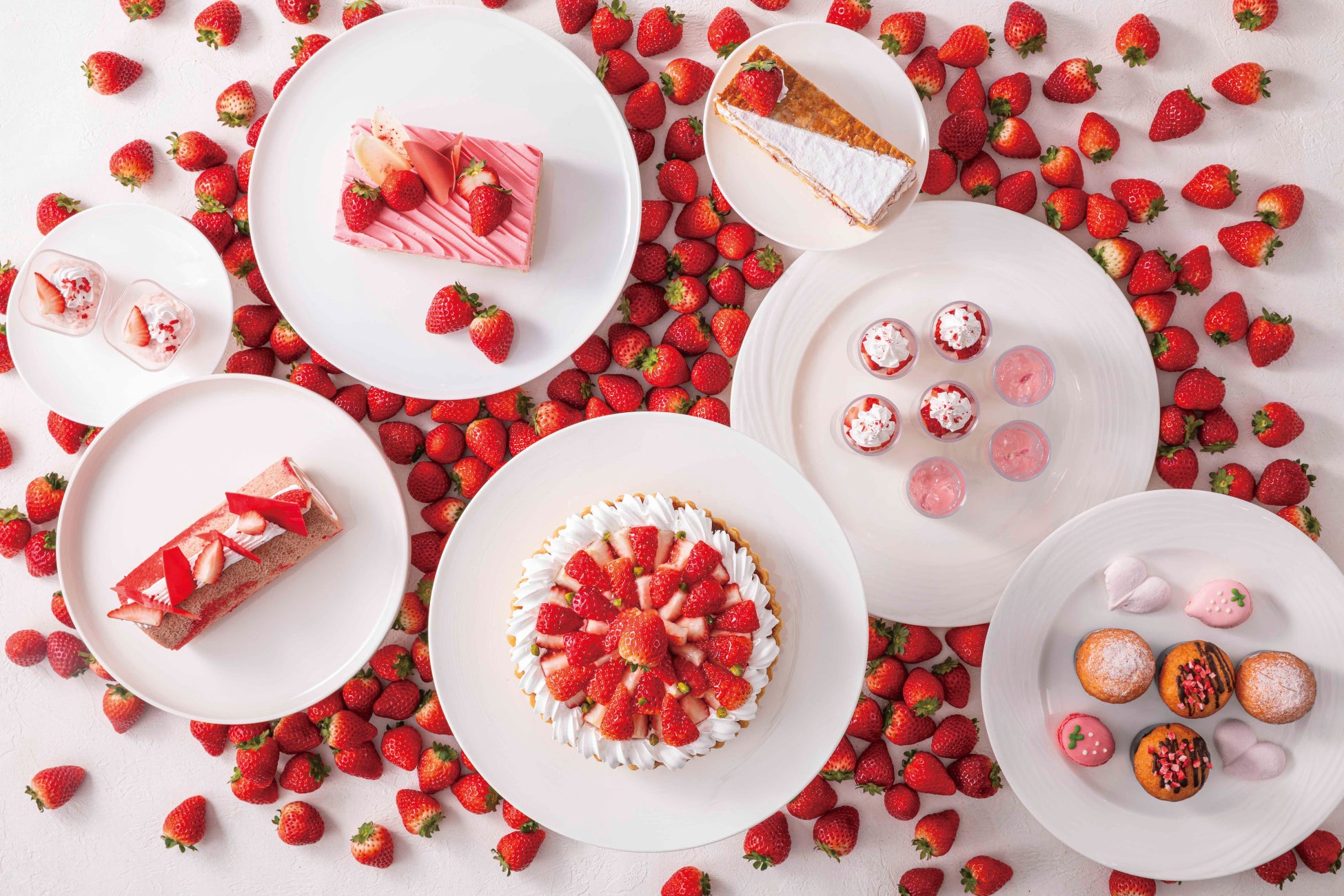 【楽天販売ランキング37冠達成】楽天市場ドッグフード部門でウィークリー1位を獲得