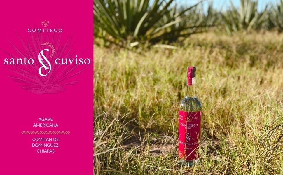 【新入荷】“ピニャではなく樹液を蒸留する”──チアパス州伝統のアガベスピリッツ「コミテコ」取扱開始
