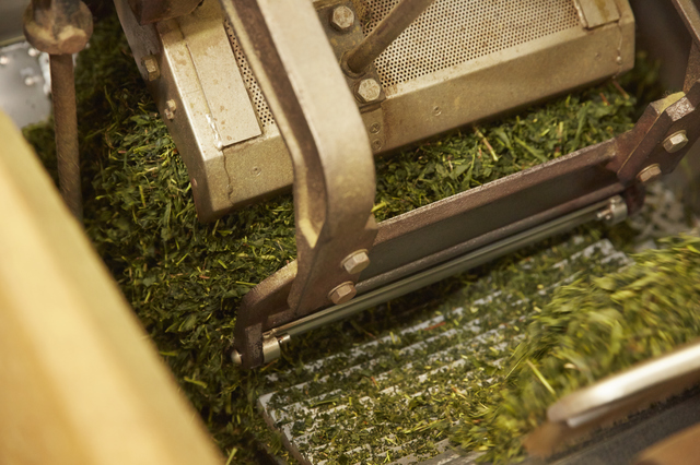 製茶業の廃業、2025年は過去最多「抹茶人気」逆風に 茶葉不足で「仕入れ値高騰」深刻 「煎茶文化」維持に課題