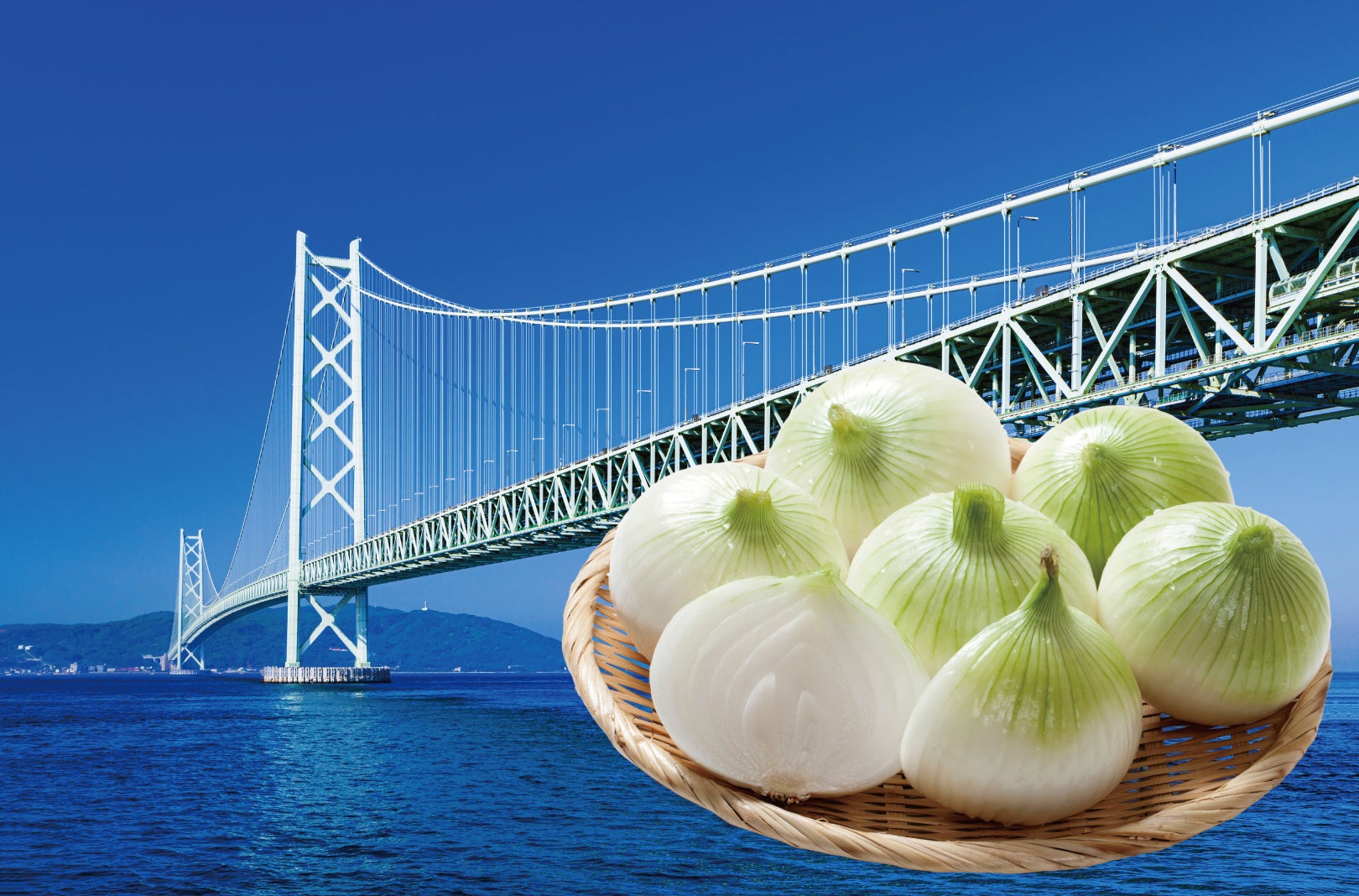 エミリア＝ロマーニャ州 × FOODEX Japan 2026（2）