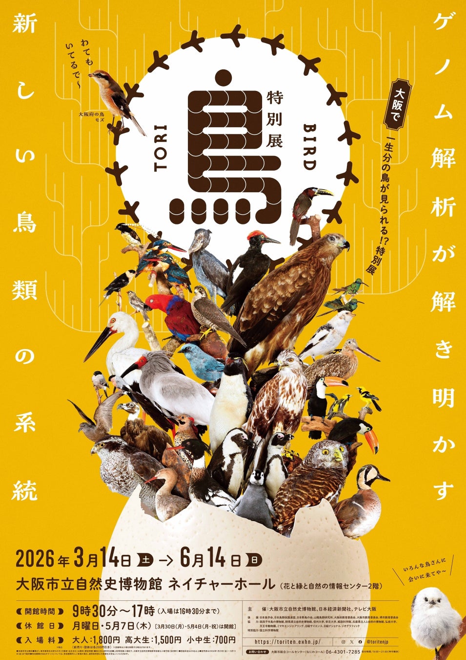 『ゼリーの時間』でお馴染みの純和食品から新ブランド『盛』シリーズが登場！