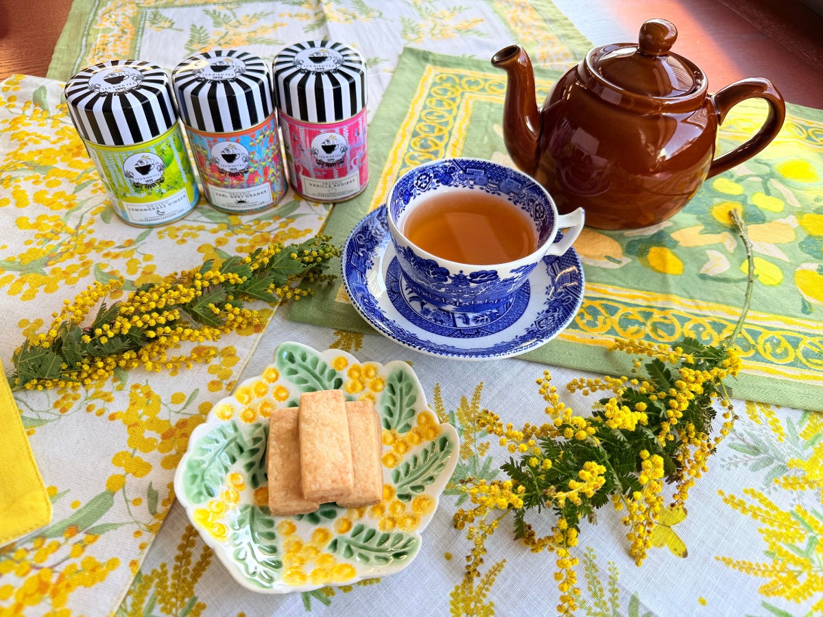 【新商品】「ナタデココ」×「むにゅっとフルーツゼリー」2つの食感が楽しい美味しさ！「コリコリナタデココ」3月9日（月）新発売！