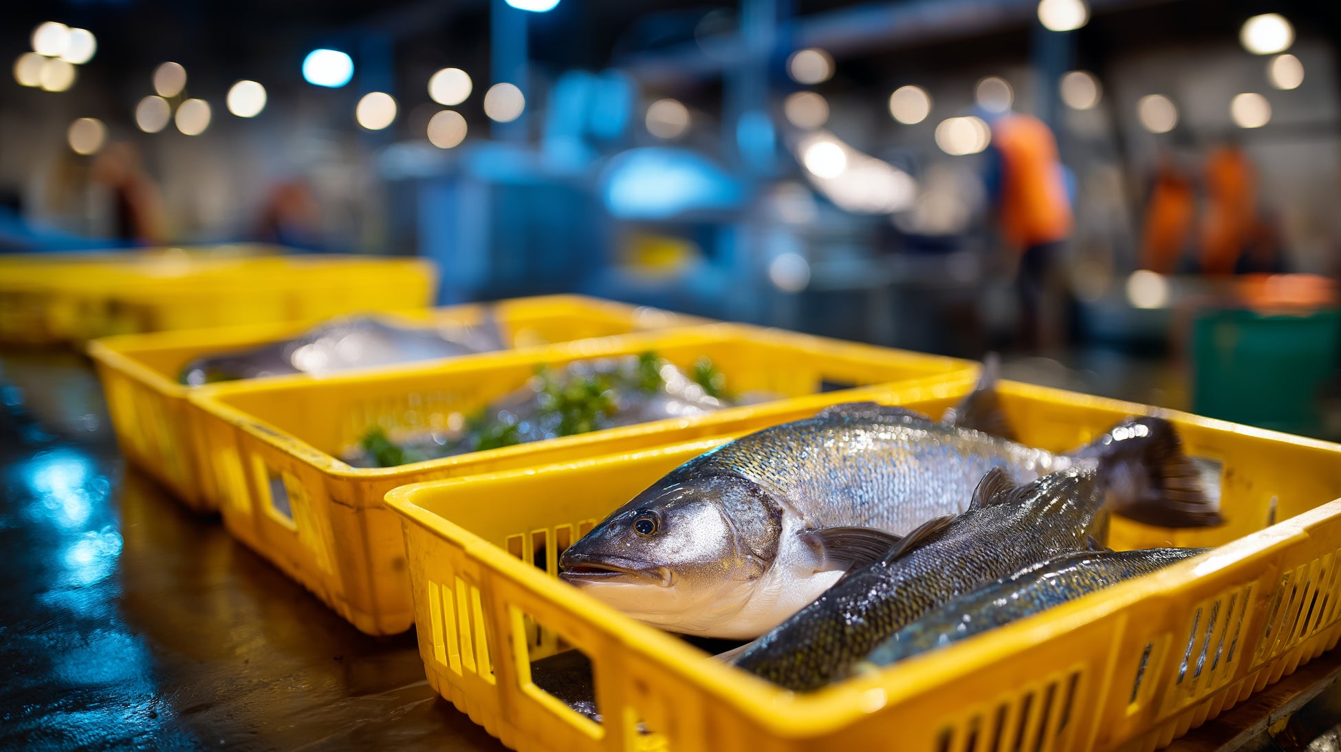 【Koisus (コイスス)】3月9日(月)大阪市北区にオープン。寿司桶で楽しむビーガンスパイスカレーと天ぷらの店。