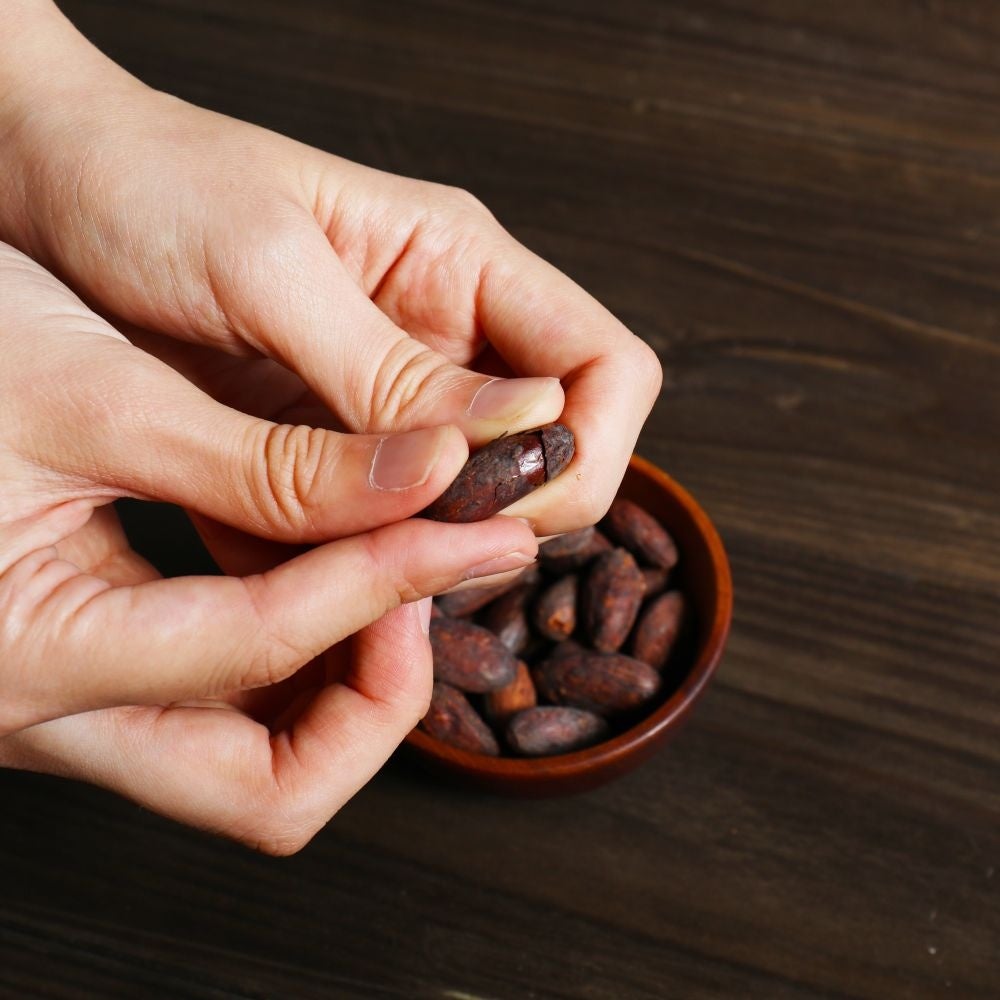 磯子区主催「いそごこどもエコフェスタ」にて横浜発のクラフトチョコレート専門店VANILLABEANSが子ども向けワークショップを3月20日(金・祝)開催