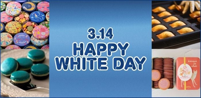 プロのこだわりを食卓に届けるブランド「(ふつうの)ショップ」が日本橋三越本店に初出店