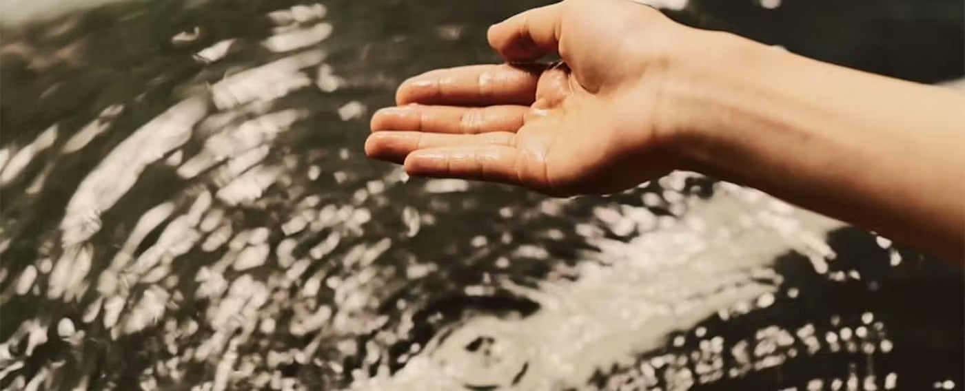 【Door to Silence】羽田から90分、静寂への最短距離。タクシー会社がプロデュースする「静粛な宿」が境港で始動。旬の食材を堪能する美食プランが期間限定で申し込み開始。