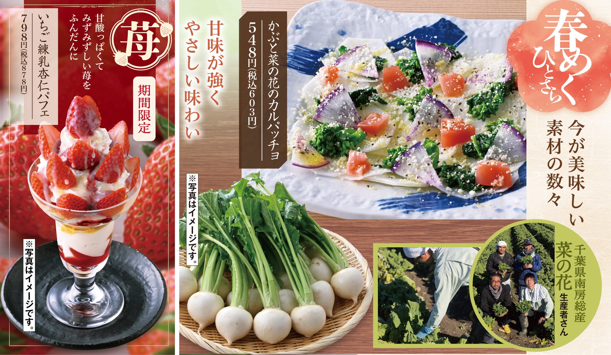 富山県産”ほたるいか”や 千葉県産”菜の花”など 春の味覚が登場【千年の宴・福福屋・月の宴・竹取酒物語】