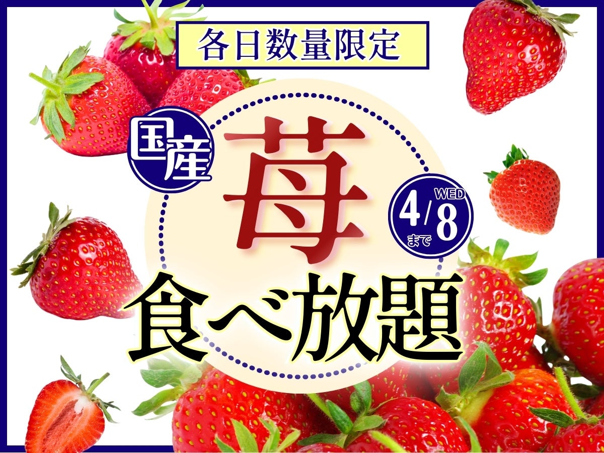 【3/13リフレッシュOPENで新メニュー登場‼】バラエティー豊かな食べ放題『ブッフェ ザ フォレスト ららぽーとTOKYO-BAY』が装い新たにリフレッシュOPEN！更に鮮やかプチスイーツが新登場‼