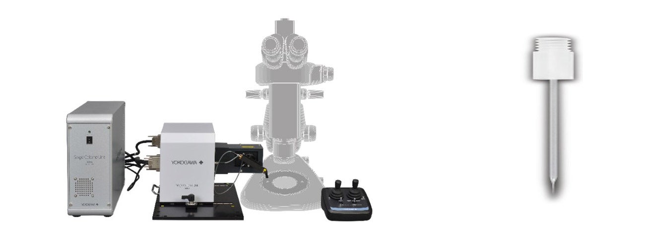 【横河電機】外来遺伝子を一切使わない植物のゲノム編集の実験に成功
