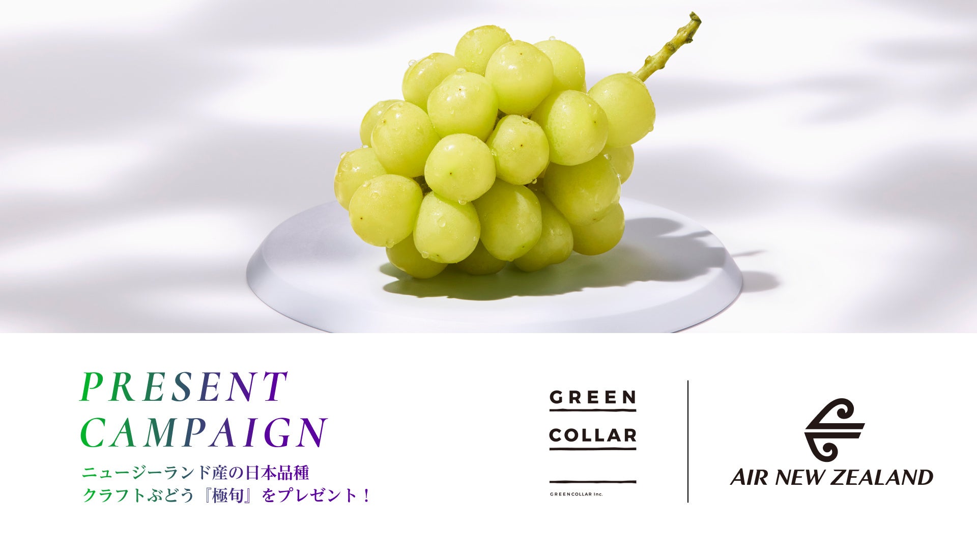 GREENCOLLAR × ニュージーランド航空共同プレゼントキャンペーンを開催。ニュージーランド産の日本品種クラフトぶどう『極旬』をプレゼント