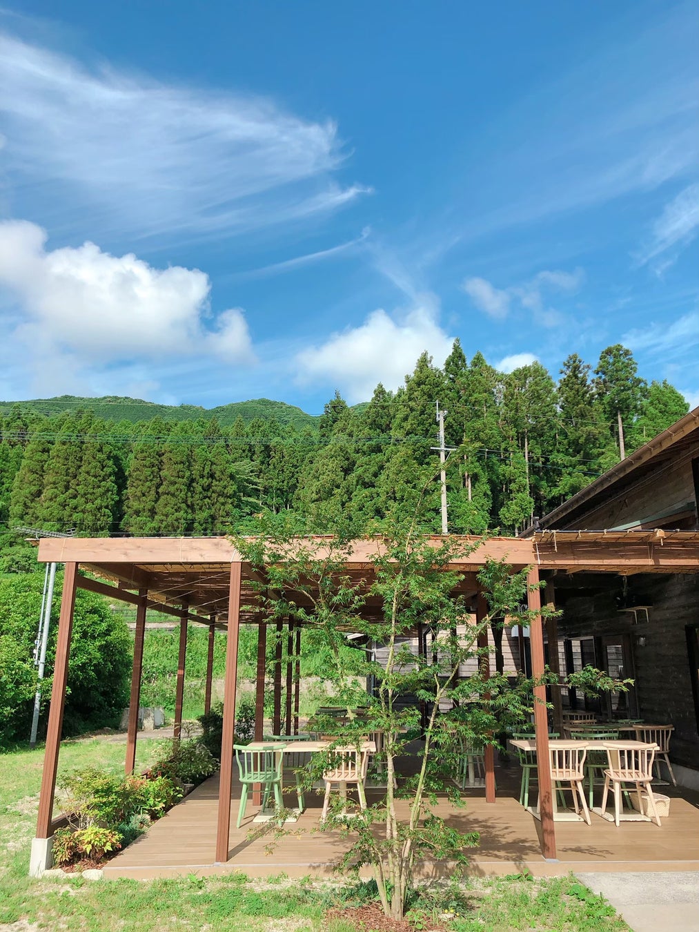 「五ケ山豆腐」に季節限定で新メニューが登場！！