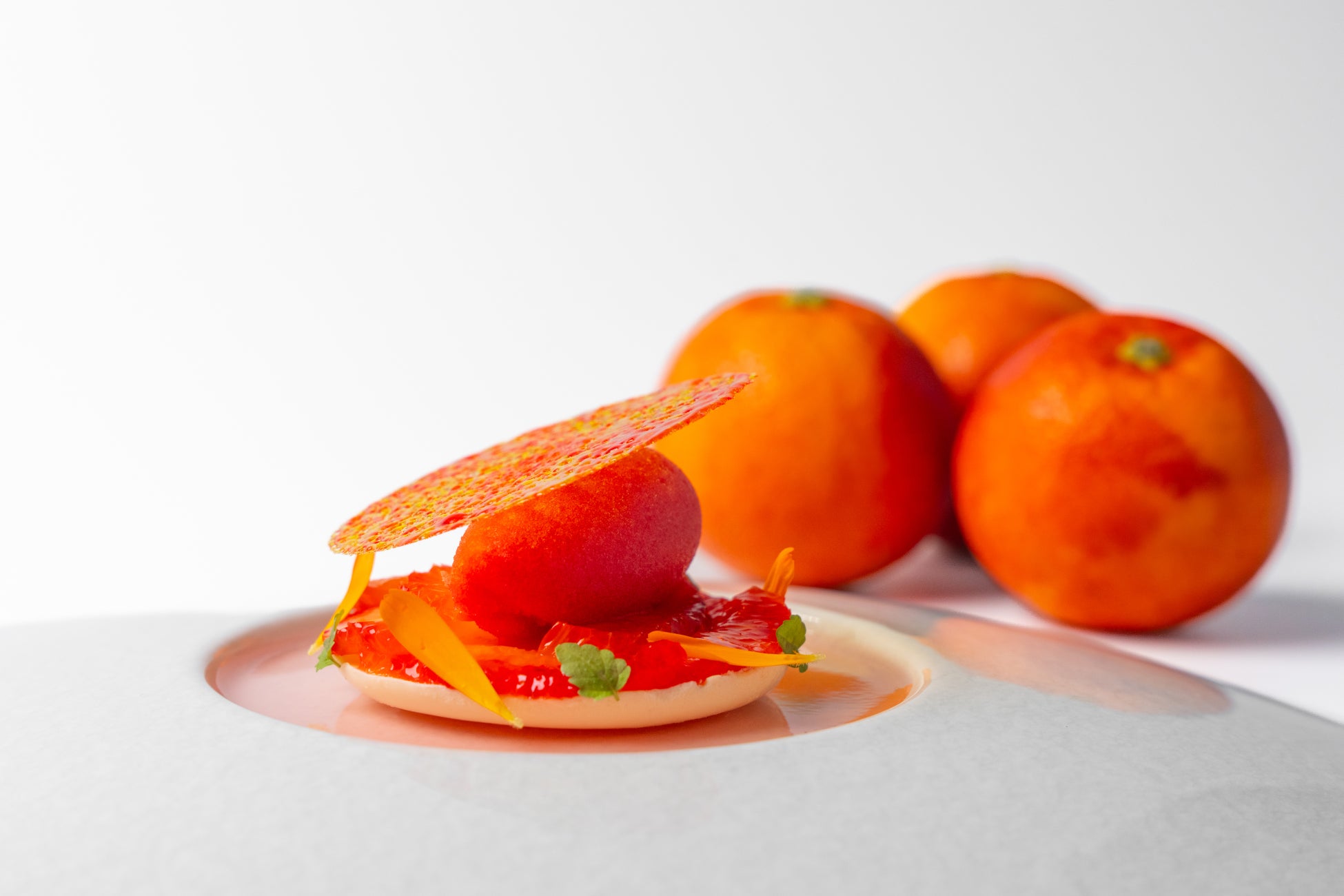 【アルマーニ / リストランテ】日本47都道府県を巡る新プロジェクト「47 Roots」を3月17日（火）より始動