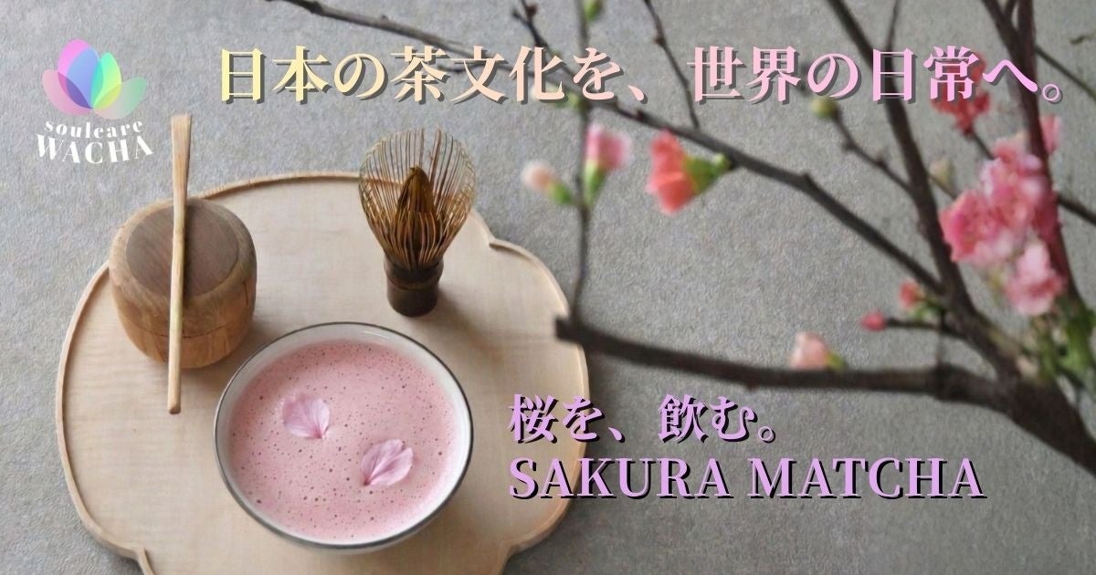桜を“飲む”抹茶。WACHA、花びらが浮かぶ春限定「SAKURA MATCHA」を発売