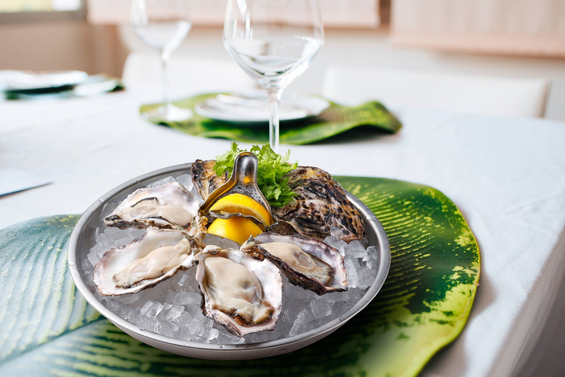 ミシュランガイド、2026年3月の先行公開東京の新規掲載12軒を発表