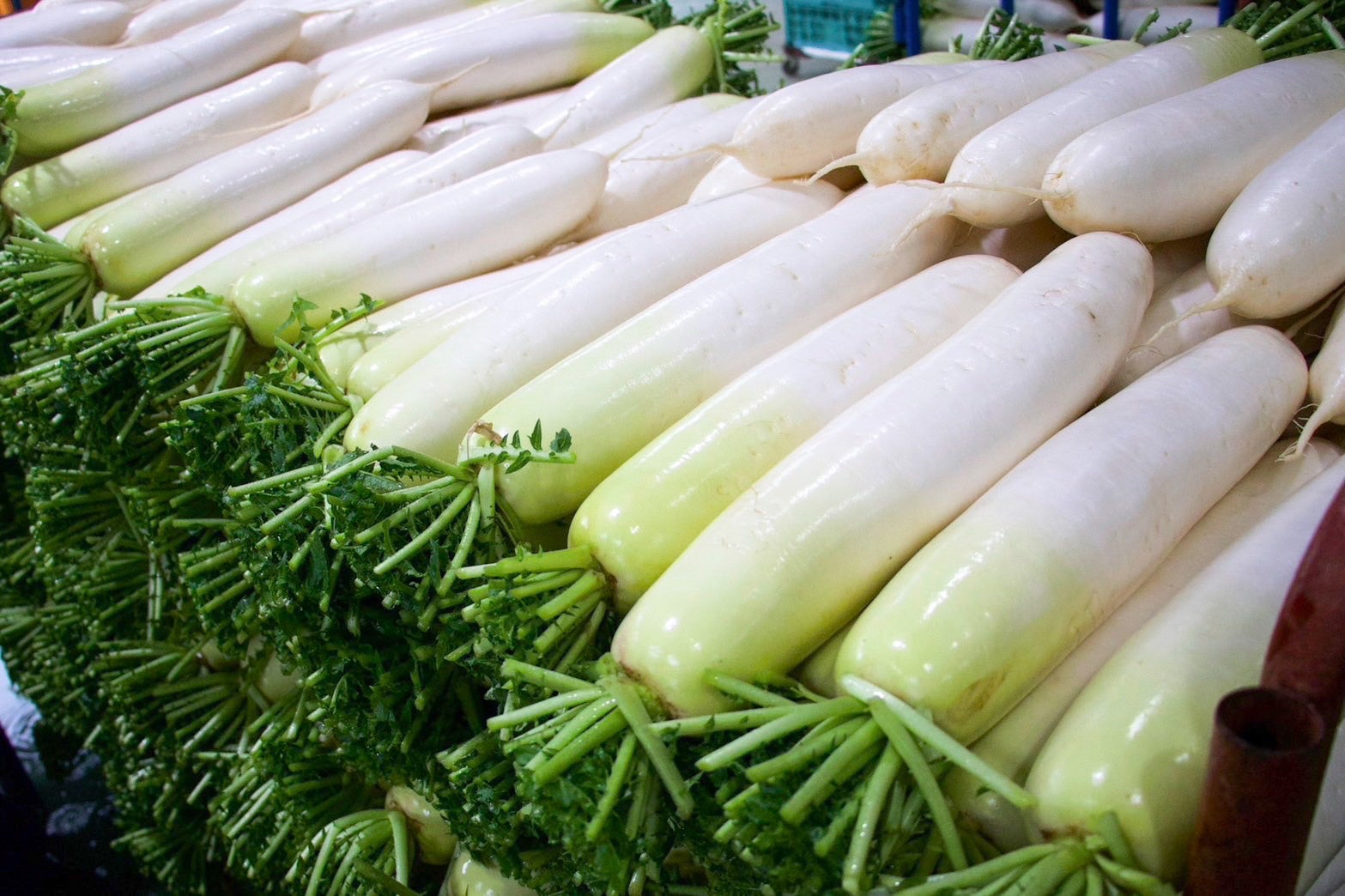 焼きのりと青のり2種を使った香り豊かな新商品が登場『細－いJagabeeのりしお味』