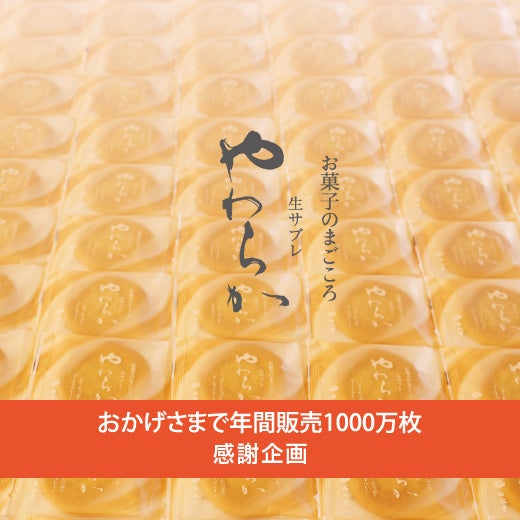 生サブレやわらか　年間1000万枚達成記念コラボ企画 埼玉の魅力を発信するインフルエンサー考案デザインを一般投票で商品化