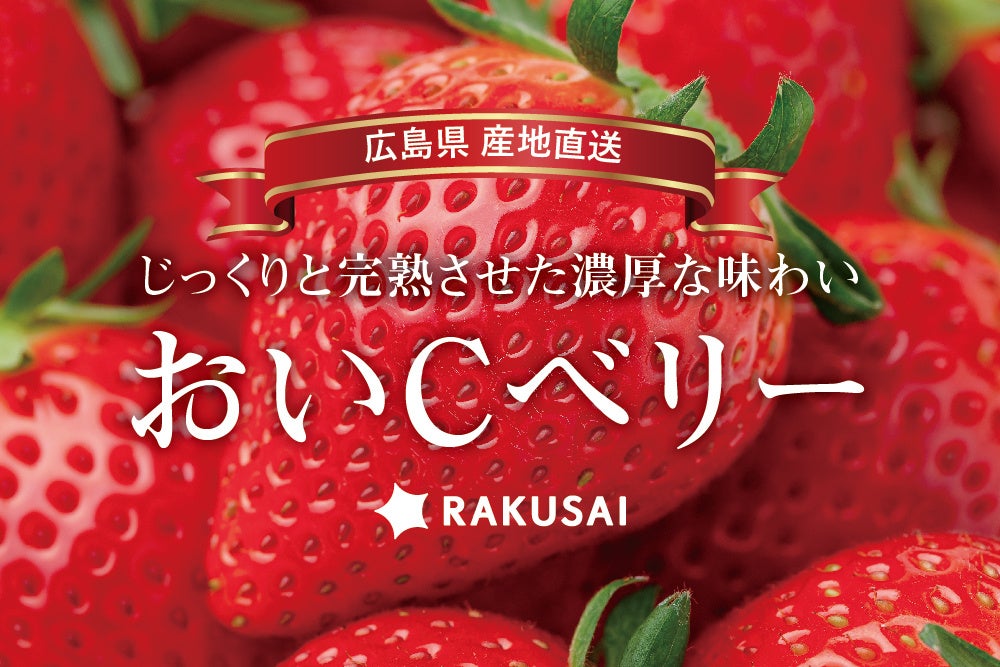 今季最後の産直いちご！北広島農場さんの『おいCベリー』（広島県産）