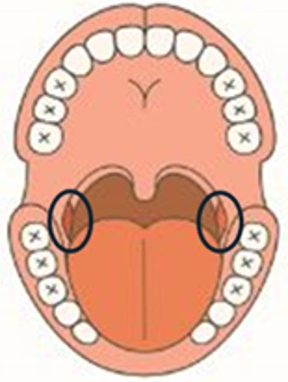 味ぽんシリーズ史上初!ドラえもんデザインの限定ラベル商品を全国店頭販売へ!