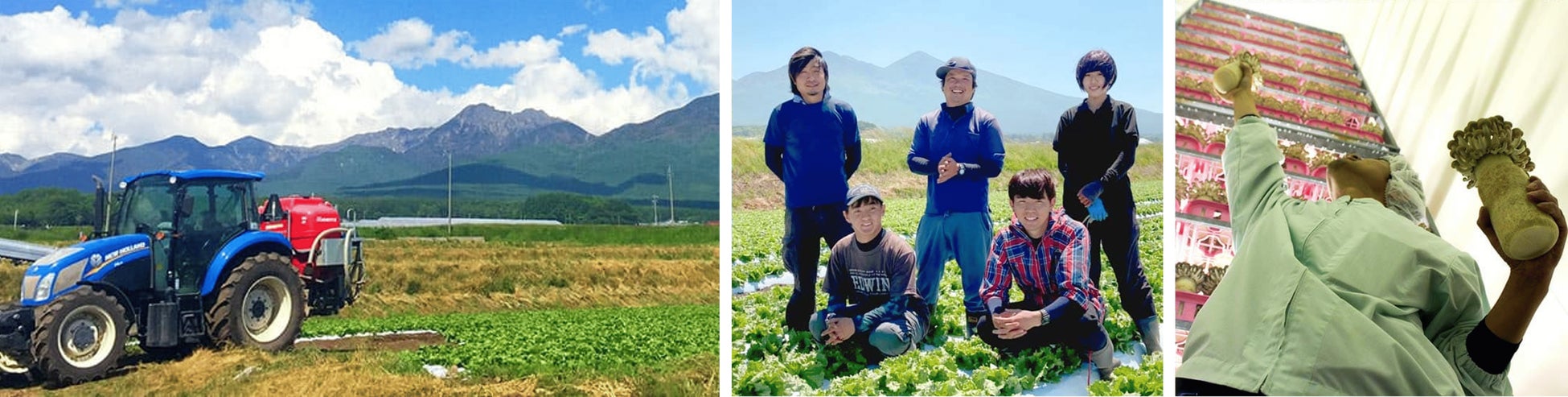 オイシックス・ラ・大地のCVC「Future Food Fund」安定供給と収益性を両立する農業生産法人「栄農人（エナジー）」に投資実行