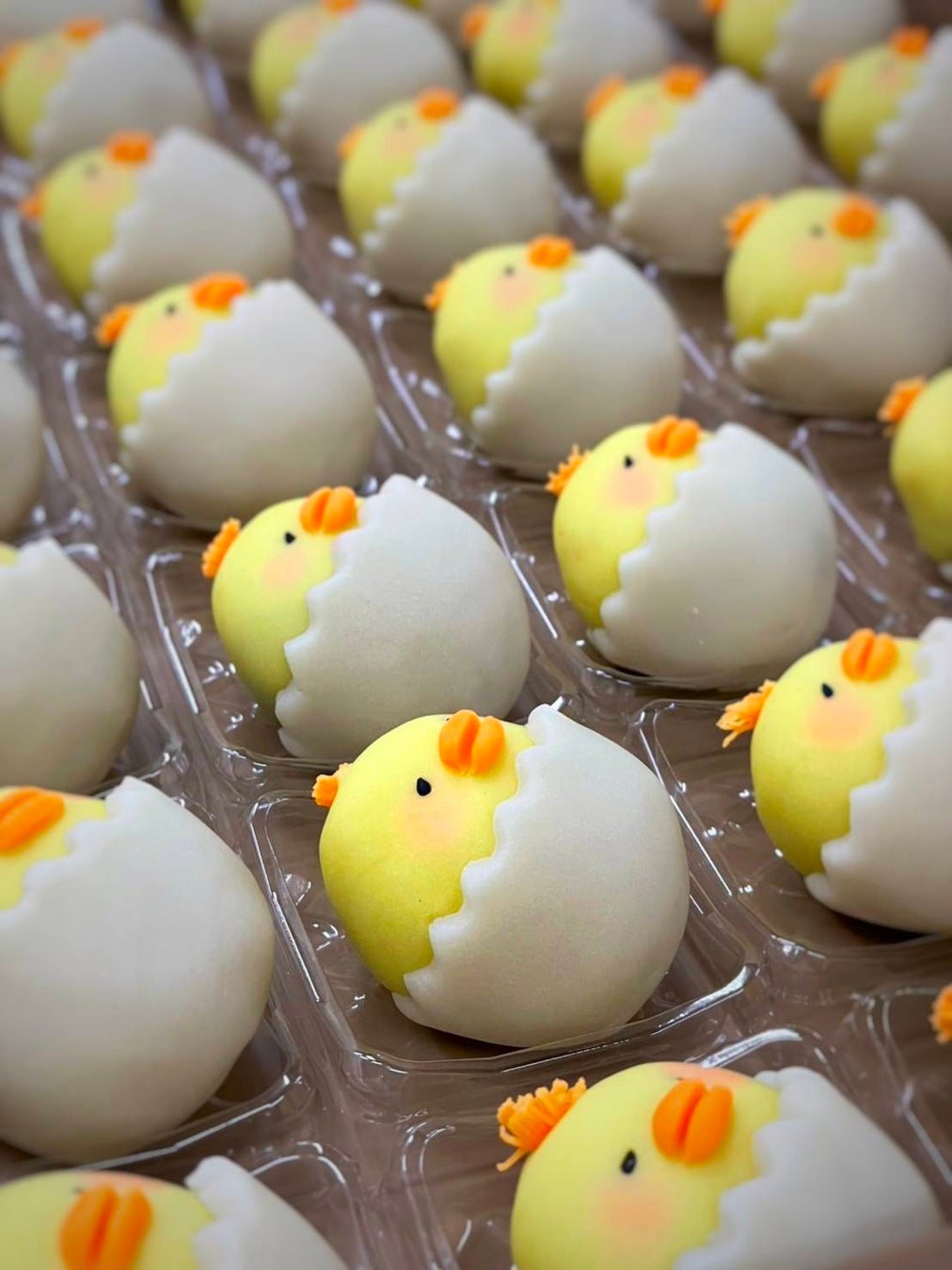 創業明治25年より綿実を搾油し続ける【岡村製油株式会社】が感謝FESを４月１８日に開催/綿実油を使用したグルメが大集合