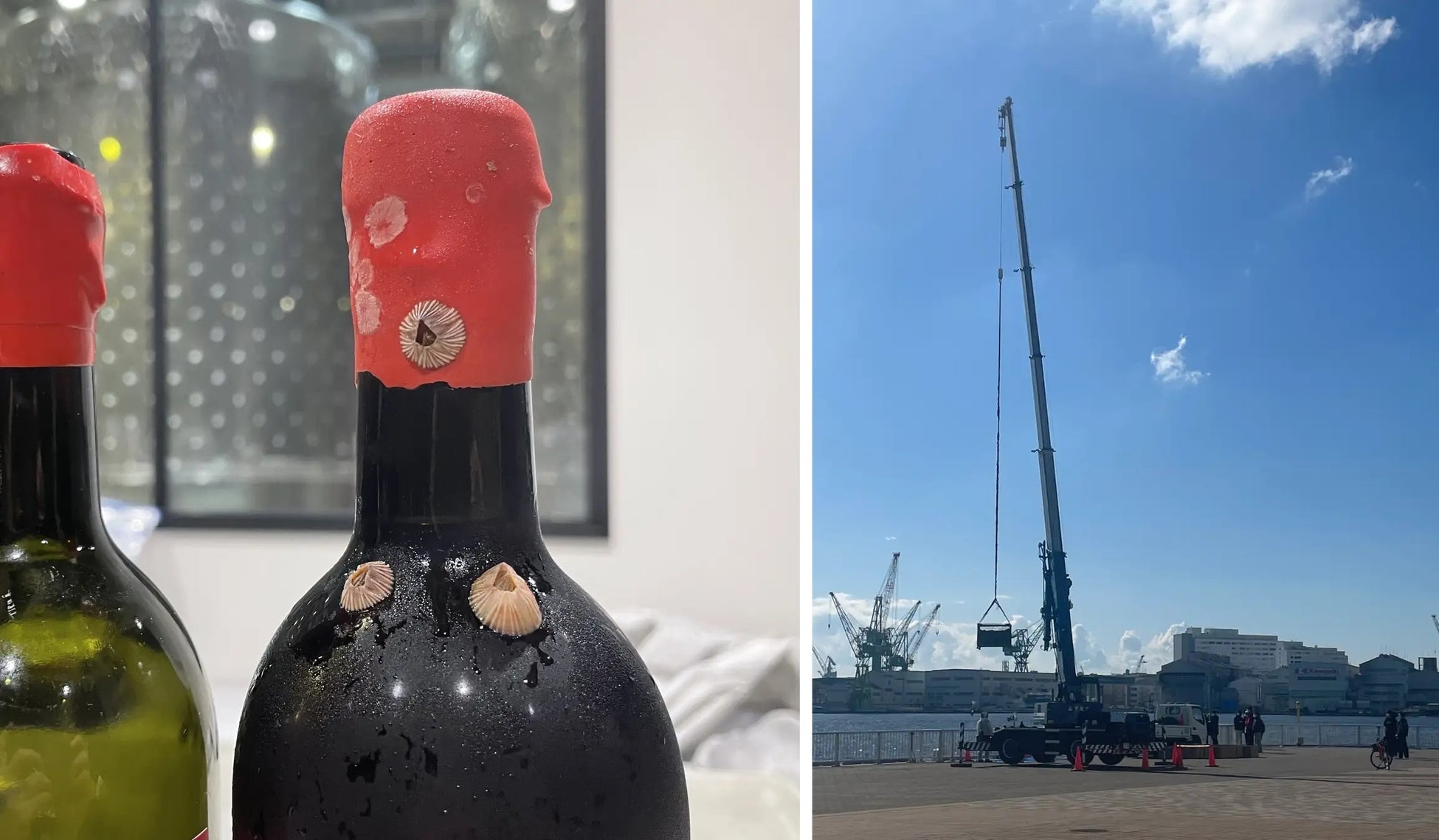 神戸港で海底熟成したワインの引き上げ公開イベントを4月10日13時～フェリシモ「f winery」が開催、海底熟成ワイン引き上げを記念し特別価格で販売