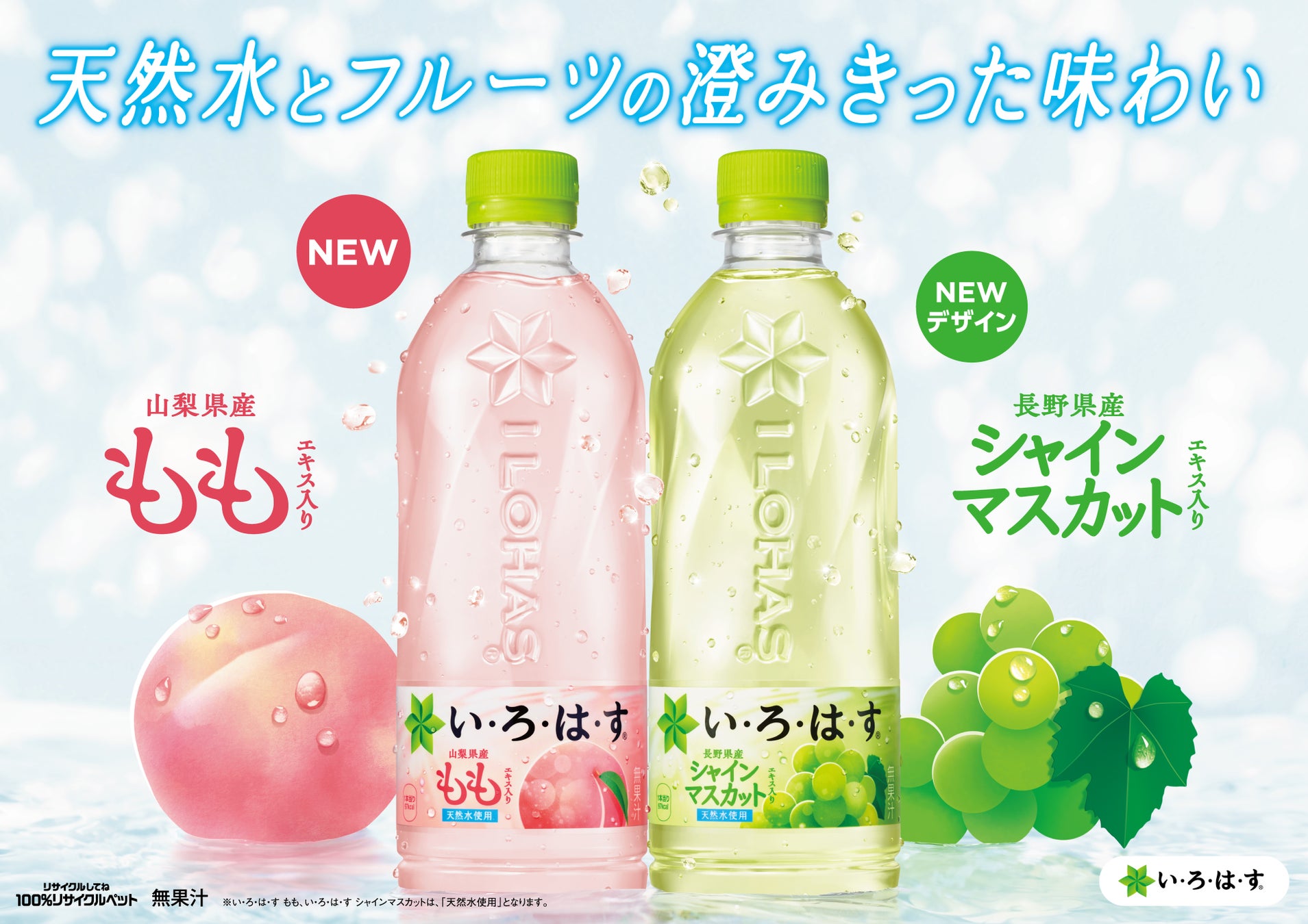 【DEAN & DELUCA】旅先での使い方がさらに広がる、トラベルバッグ4月1日（水）数量限定発売