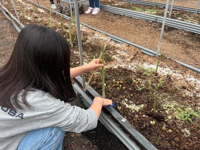 えいよう未来株式会社、人材サービス企業との業務提携。具体的なキャリア・就職支援の強化へ
