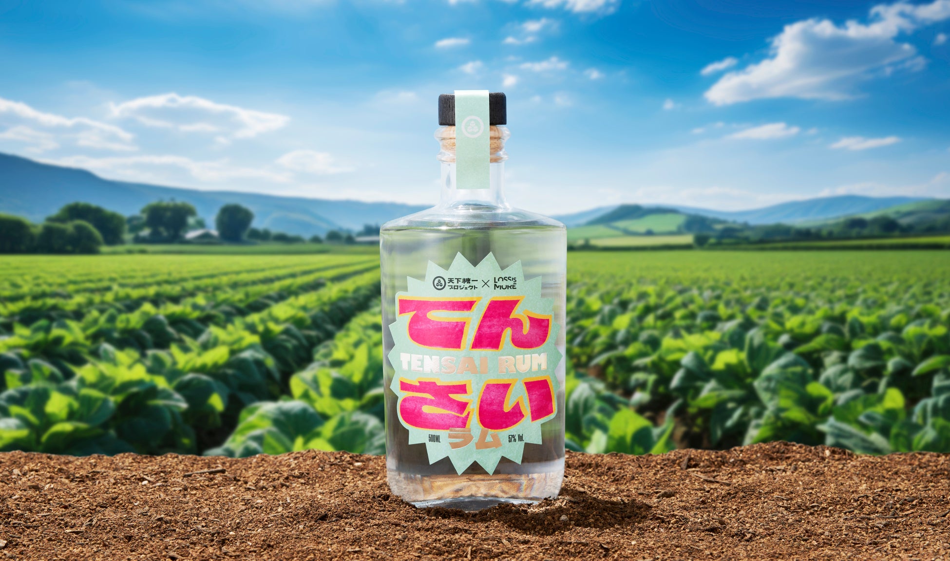 JAグループ北海道、砂糖をつくる過程ででてきてしまう「てん菜糖蜜」を活用したエシカルラム酒『てんさいラム』限定300本を3/25から発売