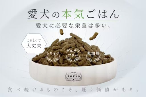 【愛犬の食事を見直す新提案！】鹿肉×馬肉の総合栄養食「ROKKA BLOOM」地域ハンター支援プロジェクトとしてクラファン開始