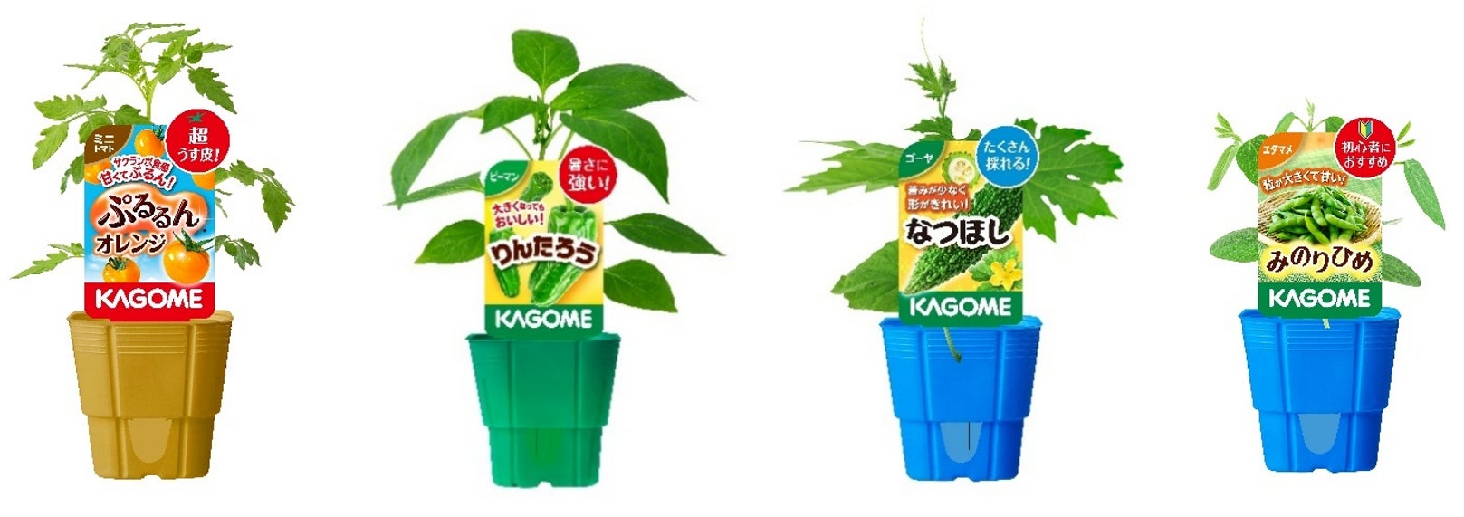 カゴメオリジナル品種家庭園芸用苗（2026年シーズン）の販売開始