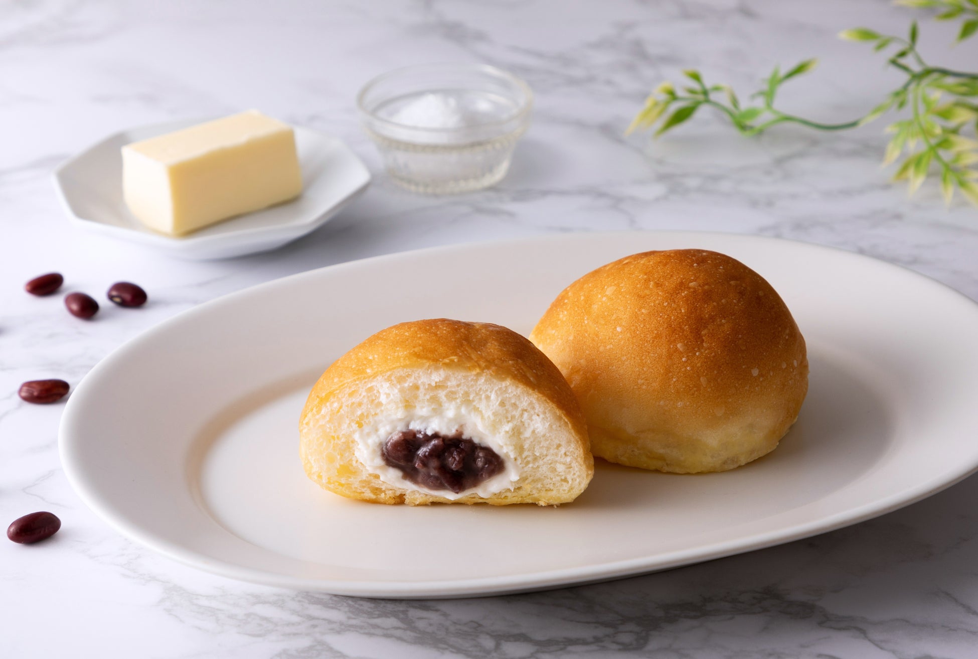 「シーホース三河チップス」「タツヲチップス」計1,000個を地域支援に。西三河のフードバンクを通じて子ども食堂や地域包括支援センターへ寄贈