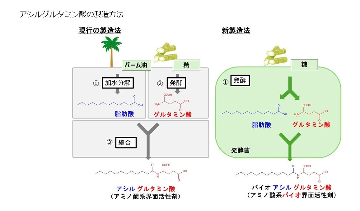 味の素㈱、パーム油フリー・アミノ酸系バイオ界面活性剤※1の新製法を開発