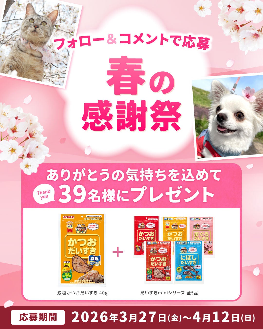 マルトモ だいすき公式Instagramにて春の感謝祭開催！